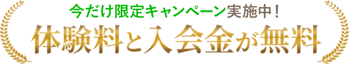 韓国アイドルやモデルに大流行わたし史上最高のからだへ